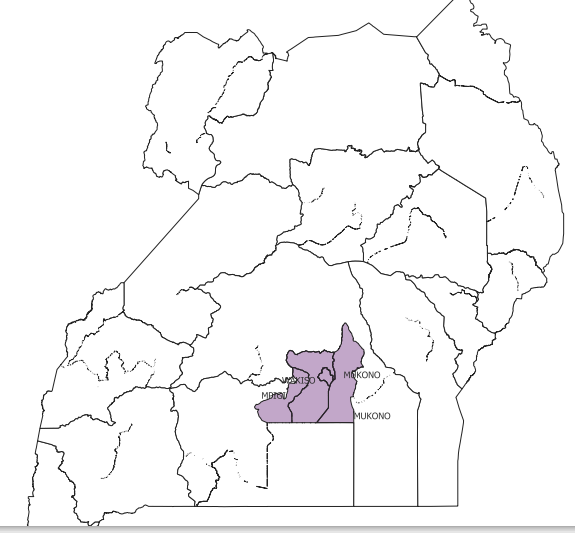 YAU IS programme